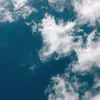 Monique Robbertze - @moniquerobbertzeee - TikTok