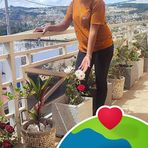 Monique Ruth - Facebook
