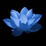 Monique Sweeney - @lovelyblklotus33 - Instagram