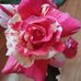 Monique Thevenin - Facebook