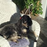 Monique Thibault - @monique.thibault.12 - Instagram