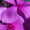 Monir Islam - @monirislam8653 - TikTok