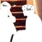 Monishh - @_monish.jain_ - Instagram