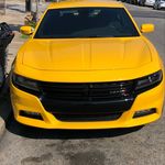monroe carter - @monroecarter49 - Instagram