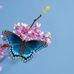 Monroe Jackson - Facebook