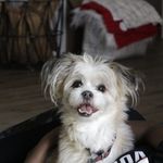 Monty Monroe Mitchell - @monty_mitch13 - Instagram