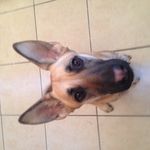 Monroe - @monroe_walker - Instagram