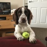 Wilson Monroe - @wilsonmonroe007 - Instagram