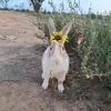 monse Arredondo - @monseau67 - TikTok