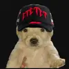 Notificaciones - @monsearredondo55 - TikTok