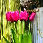 Monserrat Robles - @monse_dan - Instagram
