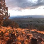 Monte Bennett - @montebennett - Instagram