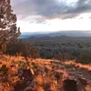MonteBennettNM - @montebennettnm - TikTok