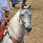 Caballada Monte Carlos - @caballada_montecarlos - Instagram
