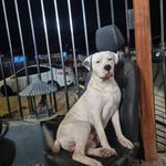 Claudio Chavez - @claudio.chavez.montecinos - Instagram