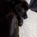 Monte Ferguson - Facebook