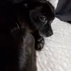 Monte Ferguson - @monte.ferguson - TikTok