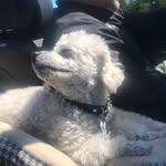 Monte Gonzales - @montegonzalessj - Instagram