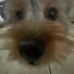 Monte Harris - Facebook