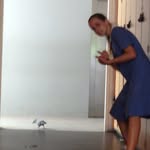 Monte Pigeon Hunters - @monte.pigeon.hunters - Instagram
