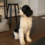 Monte Hunter - @theactualmontehunter - Instagram
