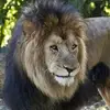 montelongoestevan - @montelongoestevan - TikTok