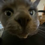 Monte Maxwell - @_montem - Instagram