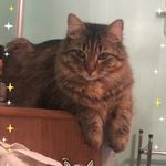 MonteMaxwell - @montemaxwell4 - Instagram