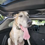 Monte Richardson - @beekeeper_monte - Instagram