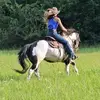 Montana Schaefer - @montana.schaefer.music - TikTok