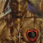 Monte Seals - Facebook