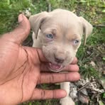 Monte Travis - Facebook