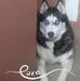 Monte A Webb - Facebook