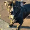 Montgomery Gray - @montgomery.gray - TikTok