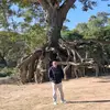 montreesrilee - @montreesrilee - TikTok