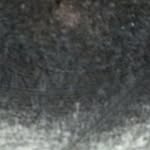 Montrell Evans - @evansmontrell0 - Instagram