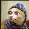 montrellking725 - @montrellking725 - TikTok