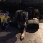 Montrellmoore - @montrellmoore8 - Instagram