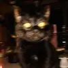 beno - @monty._.benson - TikTok