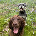 @montyandbenson - Instagram
