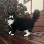 Monty Bishop - @bicciemonster - Instagram