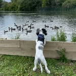 @monty_blue_bishop - Instagram