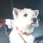 Monty C - @the_monty_clark - Instagram
