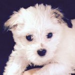 Monty C.A.L.M Clark - @monty_clark - Instagram