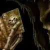 Monty Clark - @monty.clark8 - TikTok