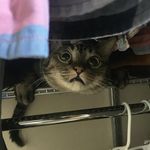 Monty - @montyclark - Instagram
