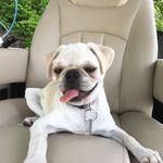 Monty Lee - @montylee_ - Instagram