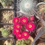 Monty McDaniel - @sgmmcdan - Instagram