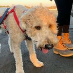Monty - @mont.ymoore - Instagram