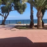 Monty Moore - @monty.moore.583 - Instagram